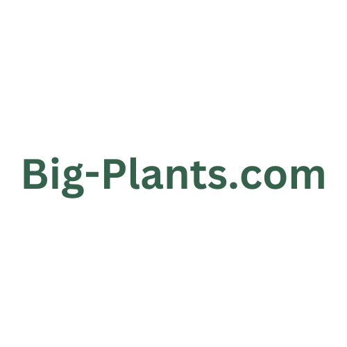 Big-Plants Gift Card