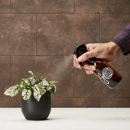 Plant Mister | Glass Bottle - 200 ml