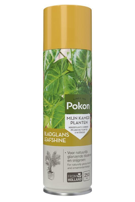 Pokon Leaf shine - 250ml