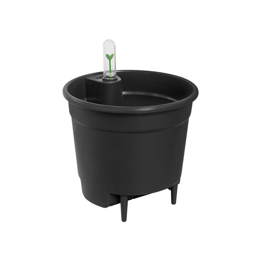 Self Watering Insert