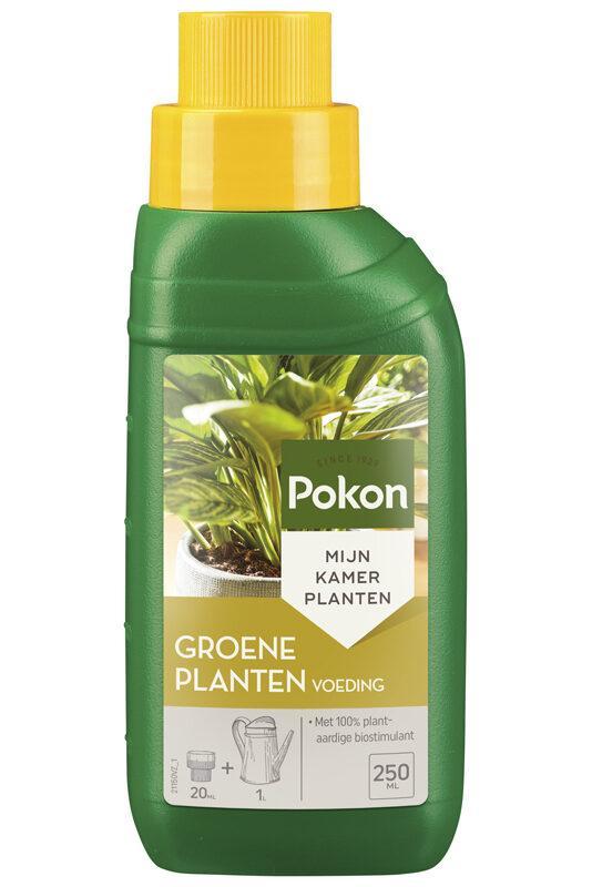 Pokon indoor plant food - 250ml